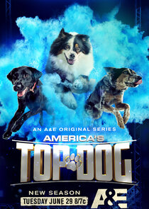 America's Top Dog Ne Zaman?'