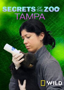 Secrets of the Zoo: Tampa Ne Zaman?'