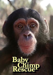 Baby Chimp Rescue Ne Zaman?'