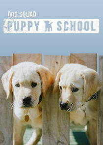 Dog Squad: Puppy School Ne Zaman?'