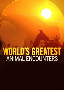 World's Greatest Animal Encounters Ne Zaman?'