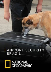 Airport Security: Brazil Ne Zaman?'