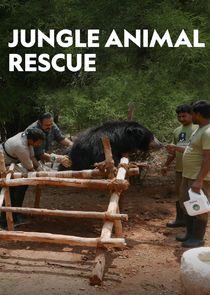 Jungle Animal Rescue Ne Zaman?'