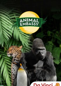 Animal Embassy Ne Zaman?'