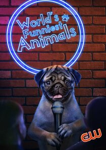 World's Funniest Animals 3.Sezon Ne Zaman?