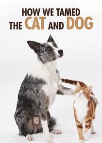 How We Tamed the Cat and Dog Ne Zaman?'