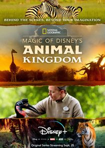 Magic of Disney's Animal Kingdom Ne Zaman?'