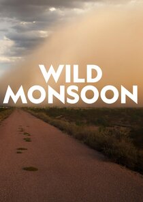 Wild Monsoon Ne Zaman?'