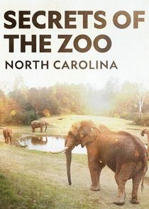 Secrets of the Zoo: North Carolina Ne Zaman?'