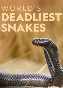 World's Deadliest Snakes Ne Zaman?'
