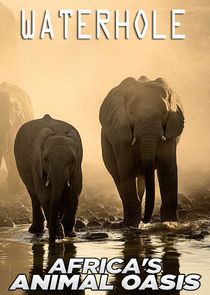 Waterhole: Africa's Animal Oasis Ne Zaman?'