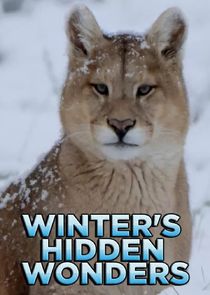 Winter's Hidden Wonders Ne Zaman?'