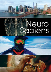 Neuro Sapiens Ne Zaman?'