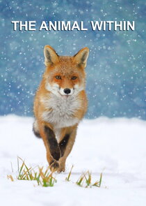 The Animal Within Ne Zaman?'