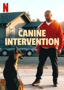 Canine Intervention Ne Zaman?'