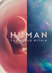Human: The World Within Ne Zaman?'