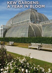 Kew Gardens: A Year in Bloom Ne Zaman?'