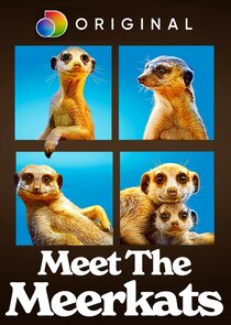 Meet the Meerkats Ne Zaman?'