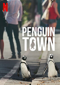 Penguin Town Ne Zaman?'