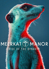 Meerkat Manor: Rise of the Dynasty Ne Zaman?'