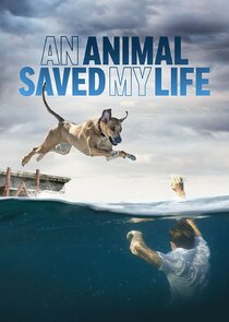 An Animal Saved My Life Ne Zaman?'
