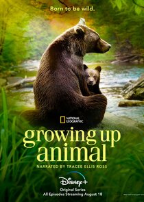 Growing Up Animal Ne Zaman?'