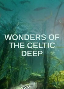 Wonders of the Celtic Deep Ne Zaman?'