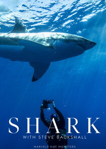 Shark with Steve Backshall Ne Zaman?'
