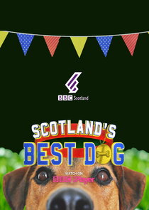 Scotland's Best Dog Ne Zaman?'