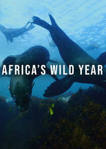 Africa's Wild Year Ne Zaman?'