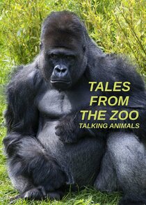 Tales from the Zoo: Talking Animals Ne Zaman?'