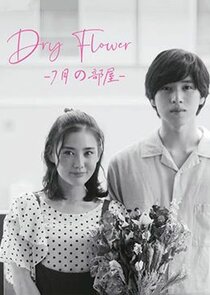 Dried Flower: Our Room in July Ne Zaman?'