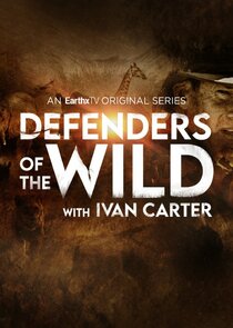 Defenders of the Wild Ne Zaman?'
