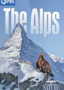 Die Alpen Ne Zaman?'