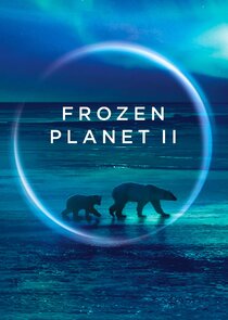Frozen Planet II Ne Zaman?'
