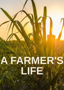 A Farmer's Life Ne Zaman?'