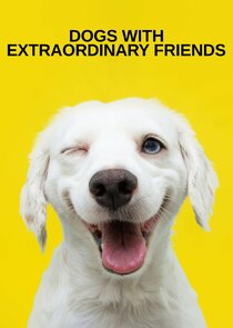 Dogs with Extraordinary Friends 1.Sezon 4.Bölüm Ne Zaman?