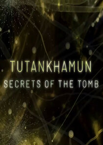 Tutankhamun: Secrets of the Tomb Ne Zaman?'