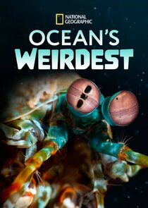 Ocean's Weirdest Ne Zaman?'