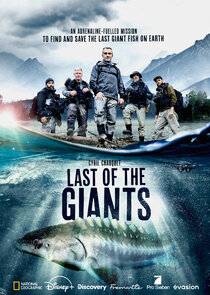 Last of the Giants: Wild Fish Ne Zaman?'