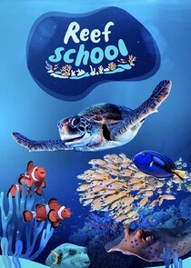 Reef School Ne Zaman?'