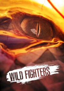 Wild Fighters Ne Zaman?'