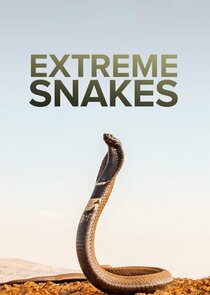 Extreme Snakes Ne Zaman?'