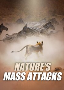 Nature's Mass Attacks Ne Zaman?'