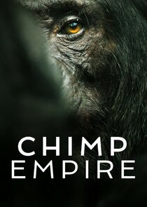 Chimp Empire Ne Zaman?'