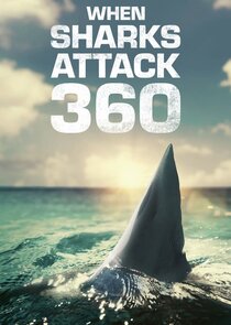 When Sharks Attack 360 Ne Zaman?'