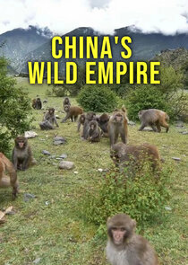 China's Wild Empire Ne Zaman?'