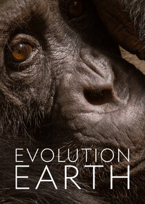 Evolution Earth Ne Zaman?'