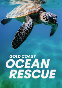 Gold Coast Ocean Rescue Ne Zaman?'