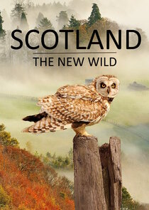 Scotland - The New Wild Ne Zaman?'